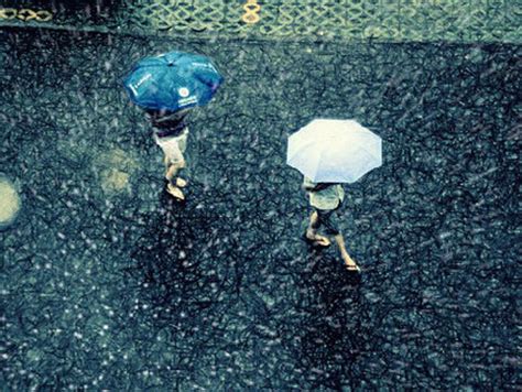 夢見下雨天|夢見雨/夢到雨